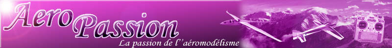La passion de l'a&eacute;romod&eacute;lisme